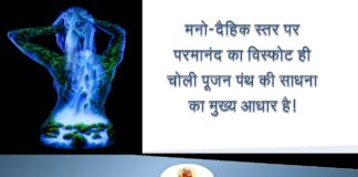 चोलीपूजन पंथ की साधना का लक्ष्य मनो-दैहिक परमानंद का विस्फोट है ! चोलीपूजन पंथ की साधना